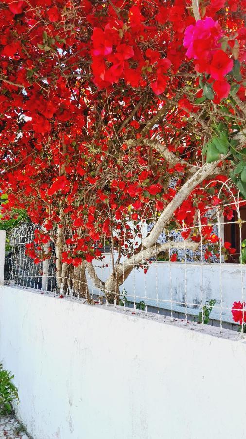 Arrabida Cozy House Villa Palmela Luaran gambar